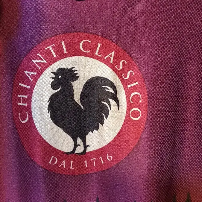 SANTINI CHIANTI GIRO 9 STAGE JERSEY - 산티