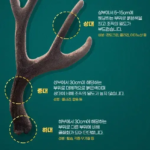 녹용진 스틱 30포 100포 선물추천