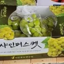 샤인머스켓 포도 맞있어요