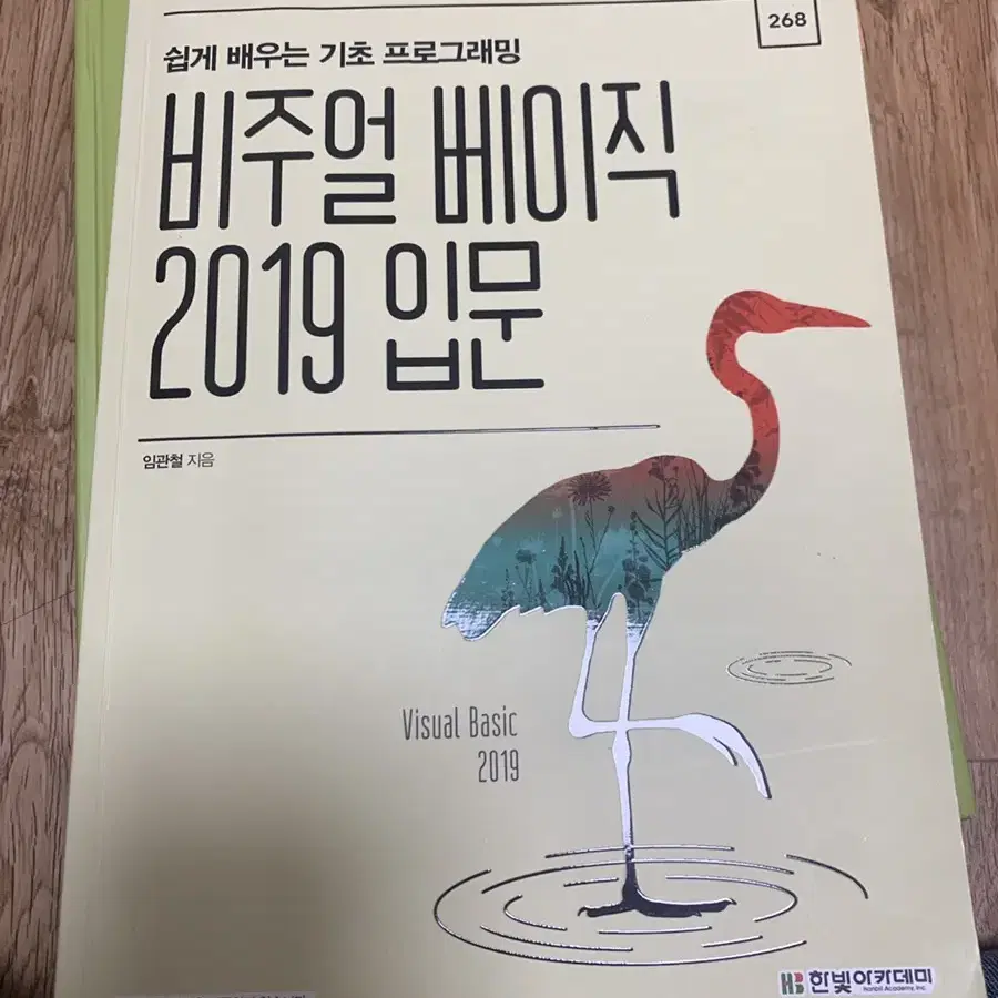 비주얼 배이직 2019 입문 