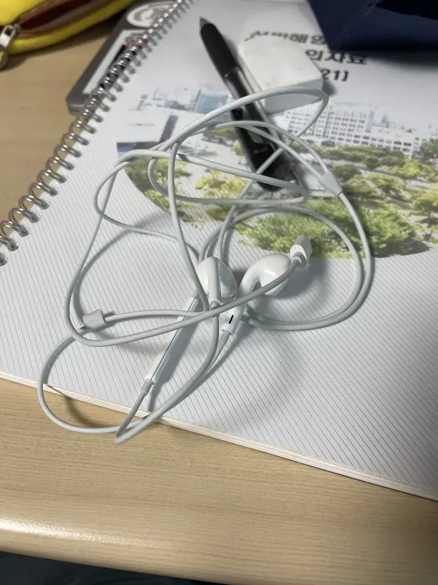 iPhone earphones