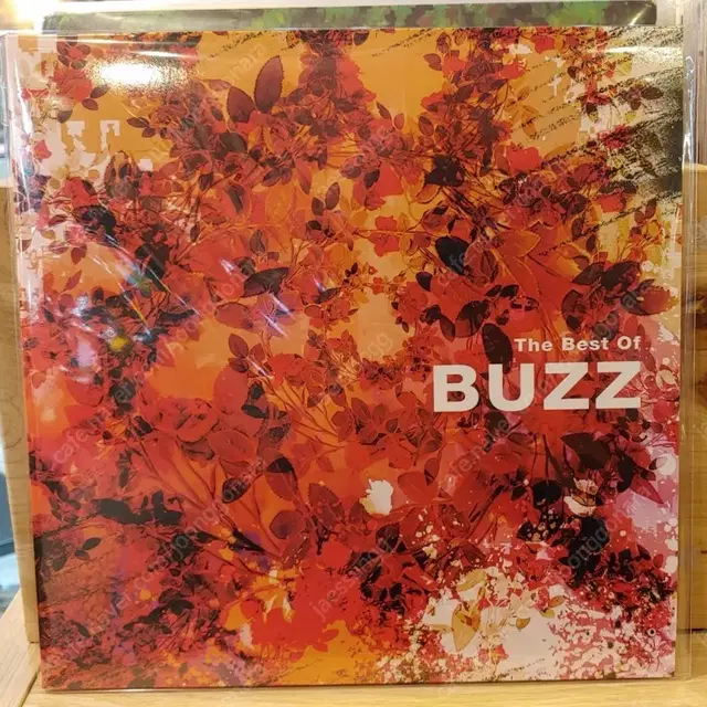 버즈 베스트 엘피 buzz best lp 미개봉