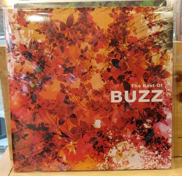 버즈 베스트 엘피 buzz best lp 미개봉