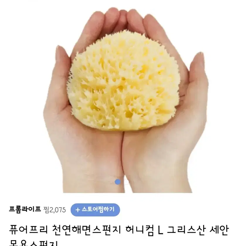 퓨어프리 천연해면 스펀지 허니컴 L