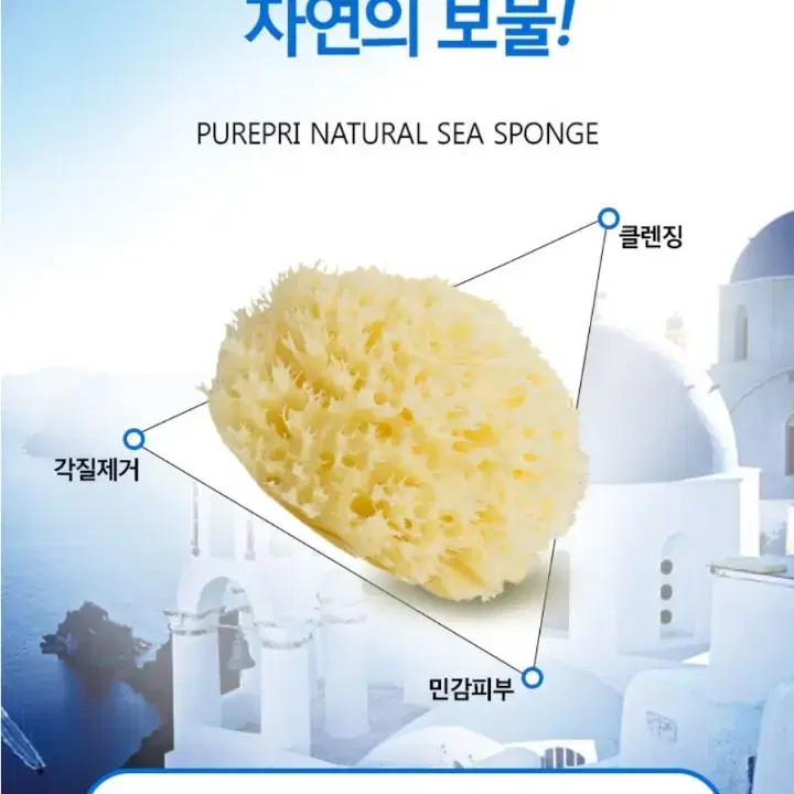 퓨어프리 천연해면 스펀지 허니컴 L