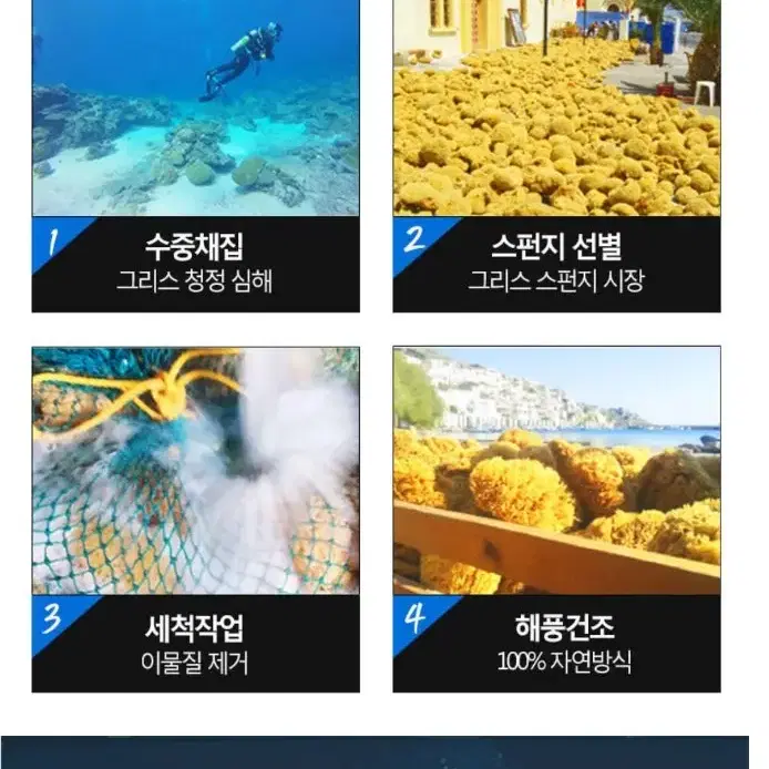 퓨어프리 천연해면 스펀지 허니컴 L