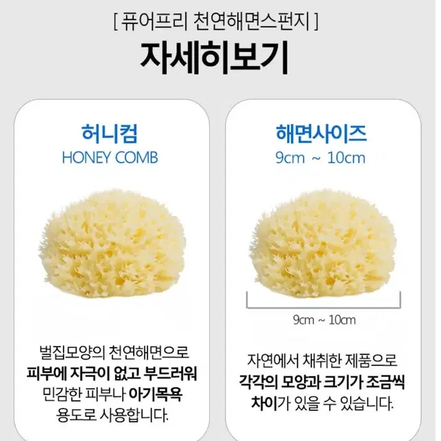 퓨어프리 천연해면 스펀지 허니컴 L 그리스산 세안 목욕스펀지