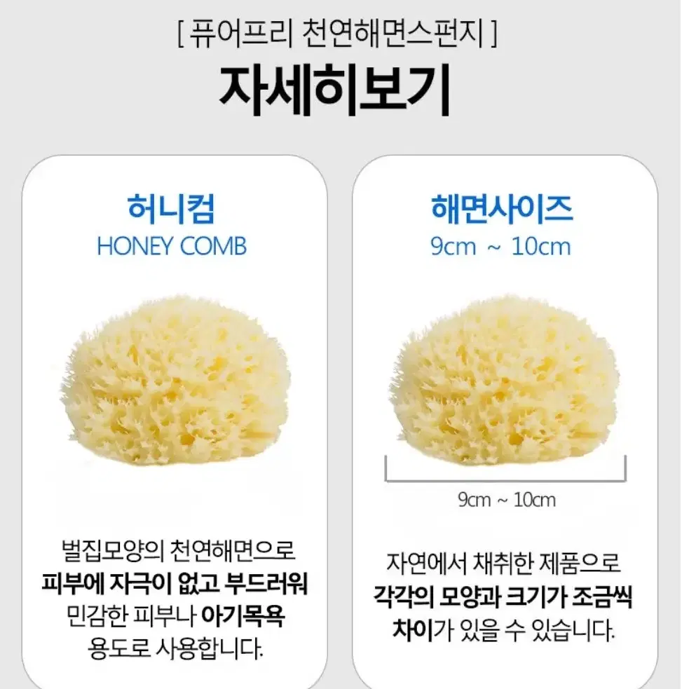 퓨어프리 천연해면 스펀지 허니컴 L