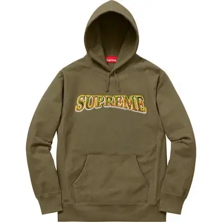 슈프림 Supreme 16FW Metallic Arc Hooded