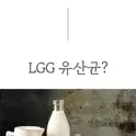 온 가족이 함께 먹는 원데이 LGG 유산균 분말 가루400g 무료스푼제공