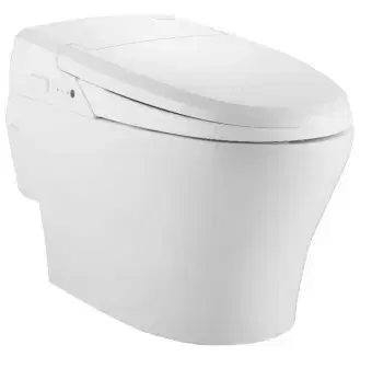 Daelim Dovidos Bidet Toilet All-in-One New