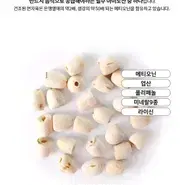 깔끔하게 껍질과 씨앗을 제거한 베트남산 생연자육 연꽃씨 연꽃씨앗 500g