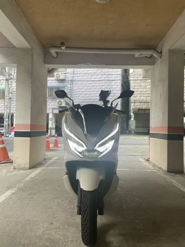 2019년식 PCX 급매