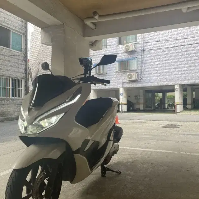 2019년식 PCX 급매