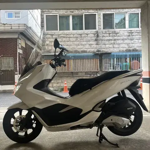 2019년식 PCX 급매