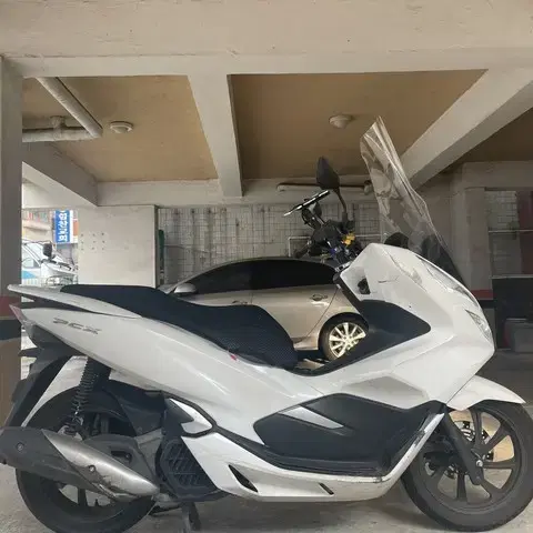 2019년식 PCX 급매