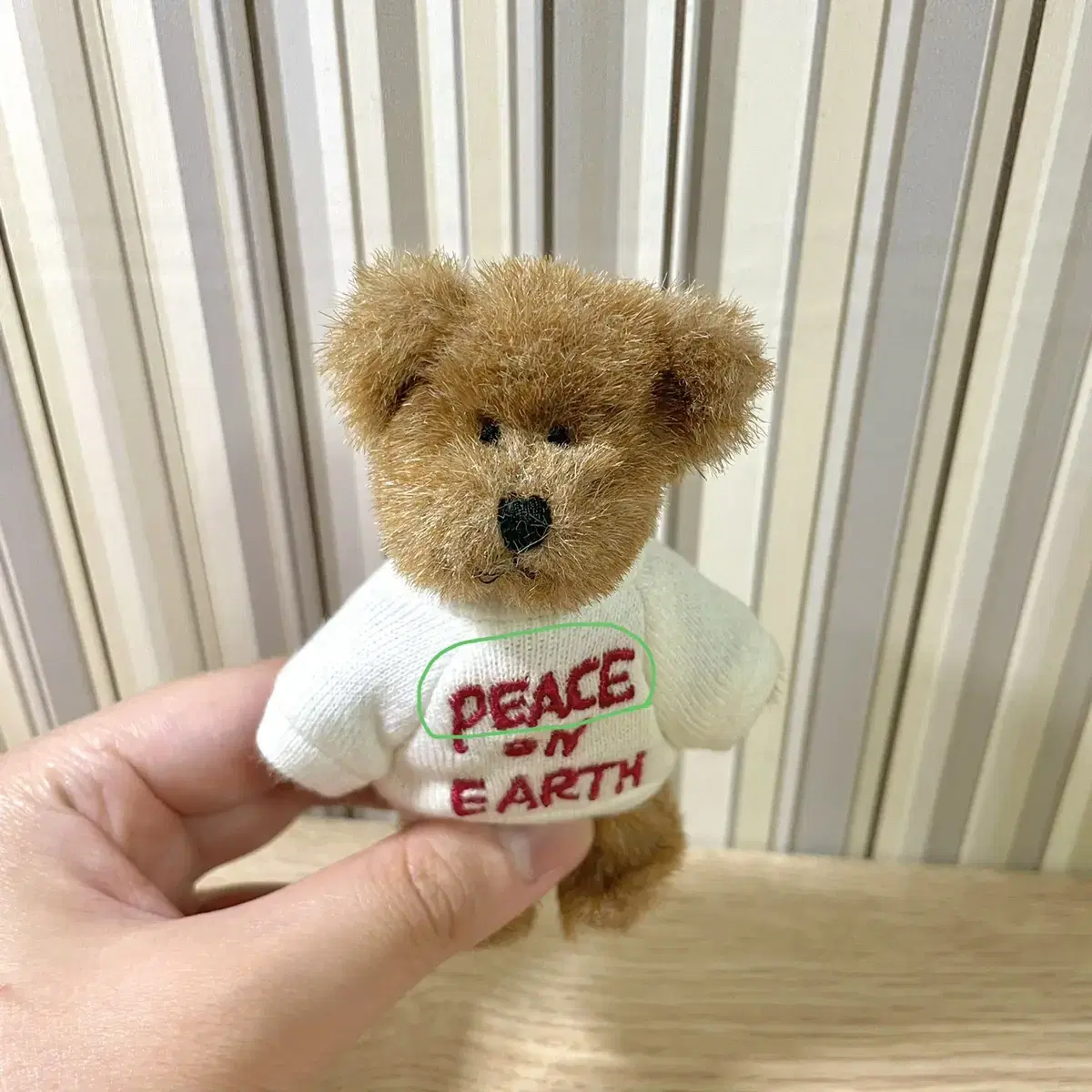 보이즈베어 쪼꼬미