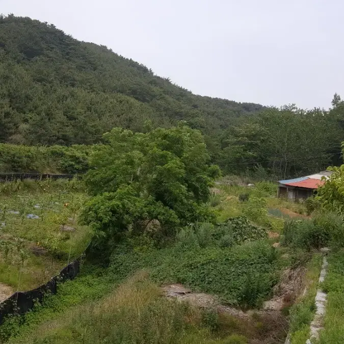 인천 을왕동  산27-1