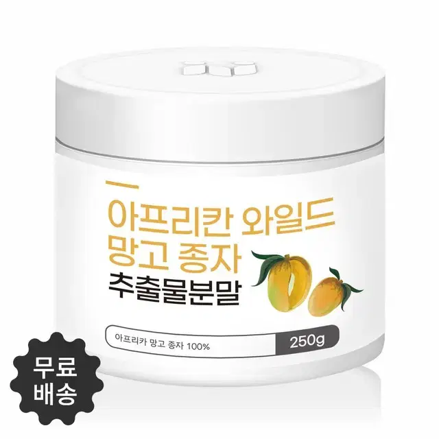 첨가물을 더하지 않은 순수 100% 와일드망고 씨앗 추출 분말 250g 