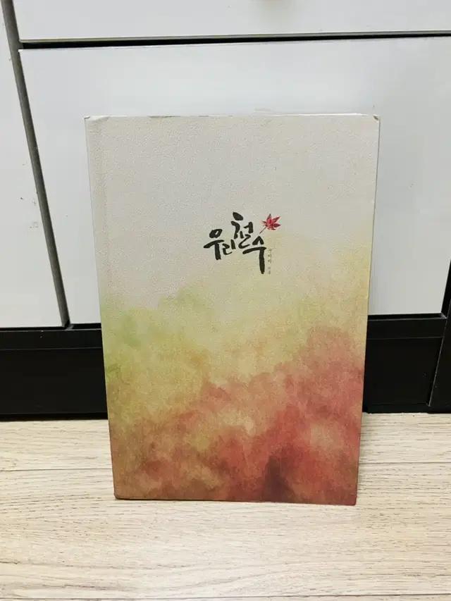 엑소 팬북, 빙의글 (우리철수, 황제펭귄 등)