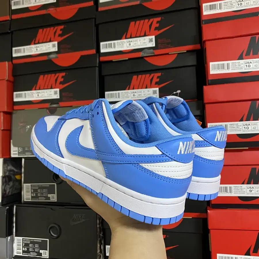 (W) NIKE Dunk Low coast