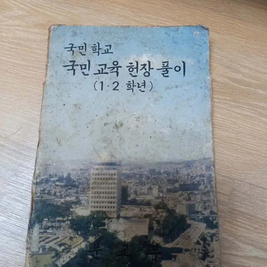 국민학교 국민교육헌장풀이