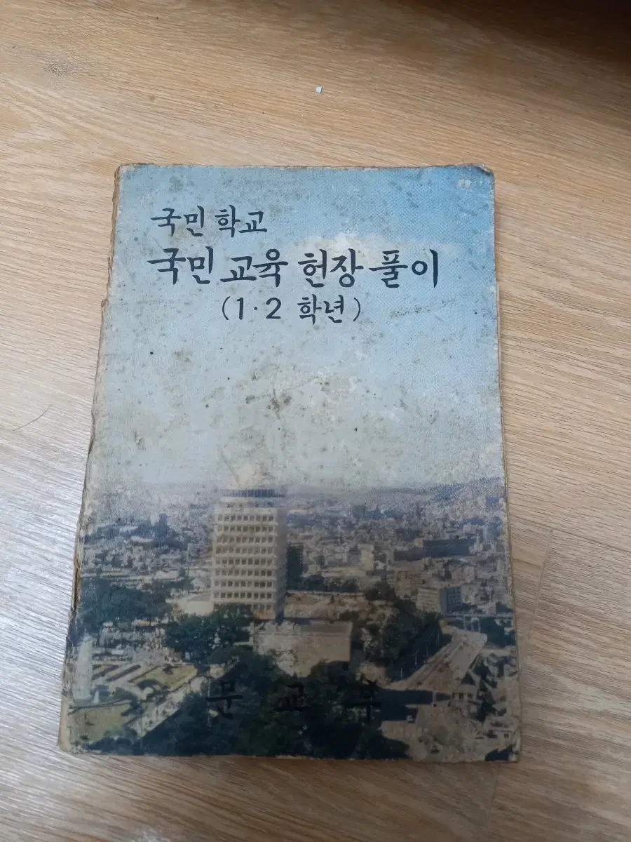 국민학교 국민교육헌장풀이