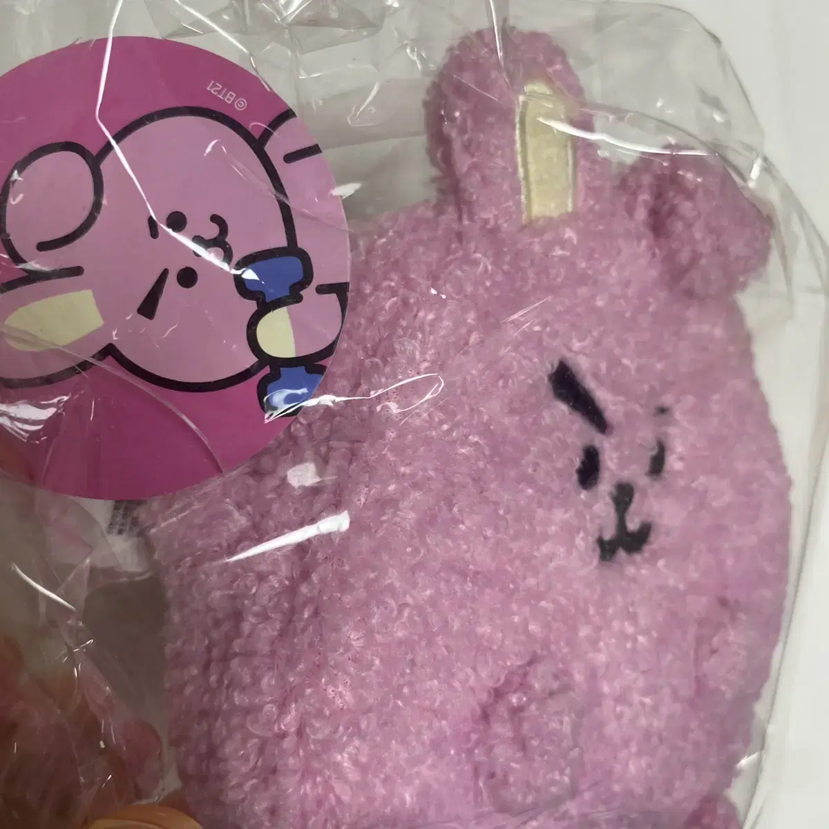 bt21 Cooky 