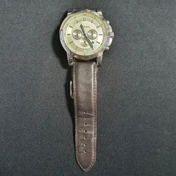 Fossil discount fs 4248