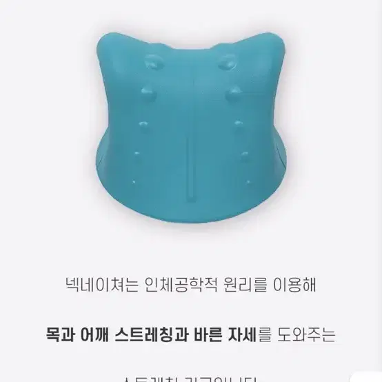 넥네이처 목관리(새제품)