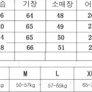 여성 루즈핏 청자켓 가을 봄 최신상 청 재킷