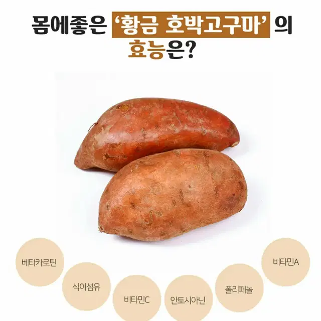 무료배송 2022년 해남 황금호박고구마