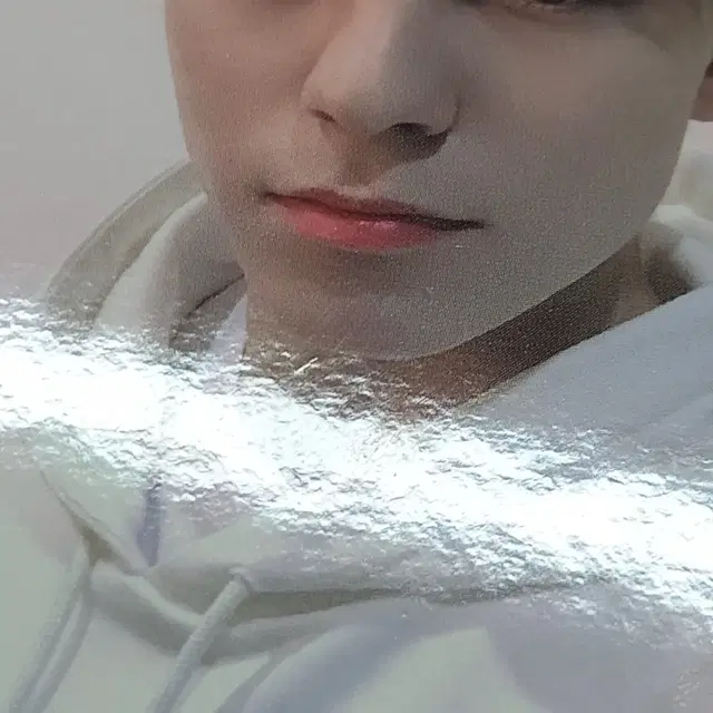 세븐틴 캐럿랜드 폴라로이드 버논