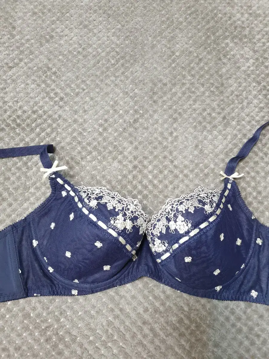 Big Cup Embroidery Wire Bra 85D