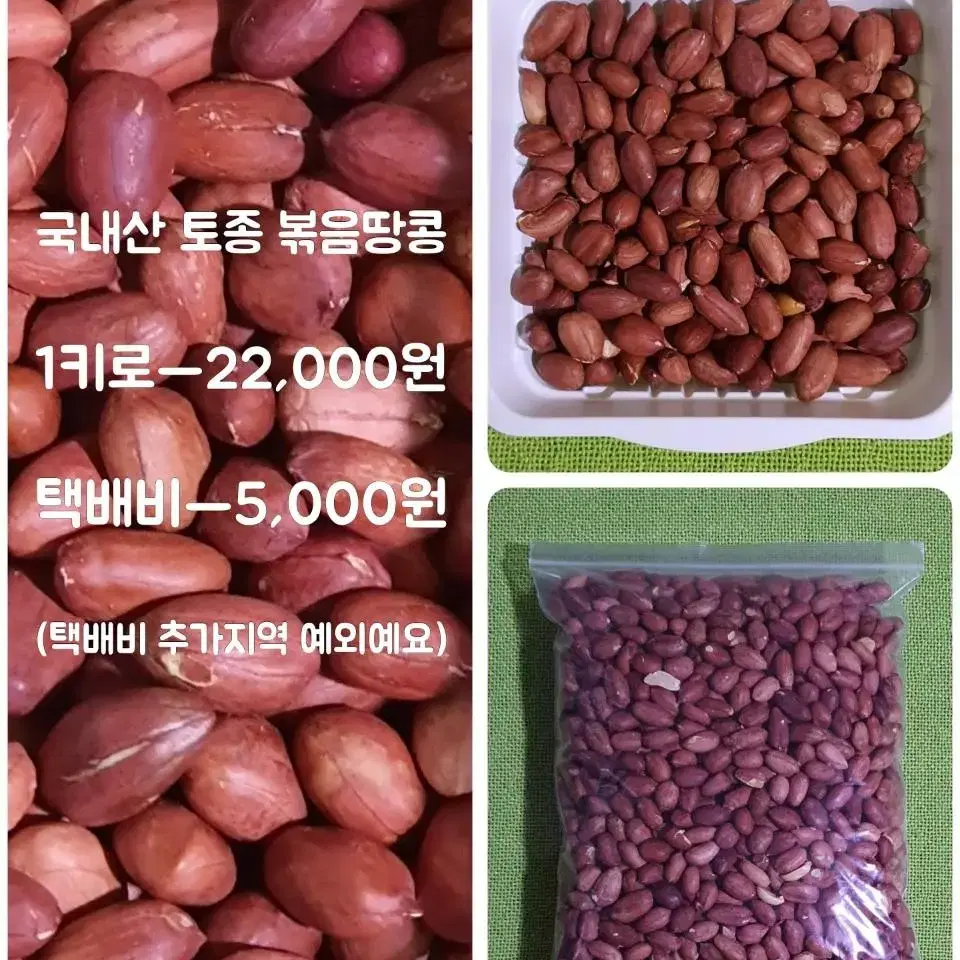 크로커다일 다운 롱패딩 ( 95 / 105 )