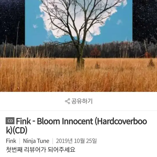 FINK 최신앨범 CD 새제품,팝,pop