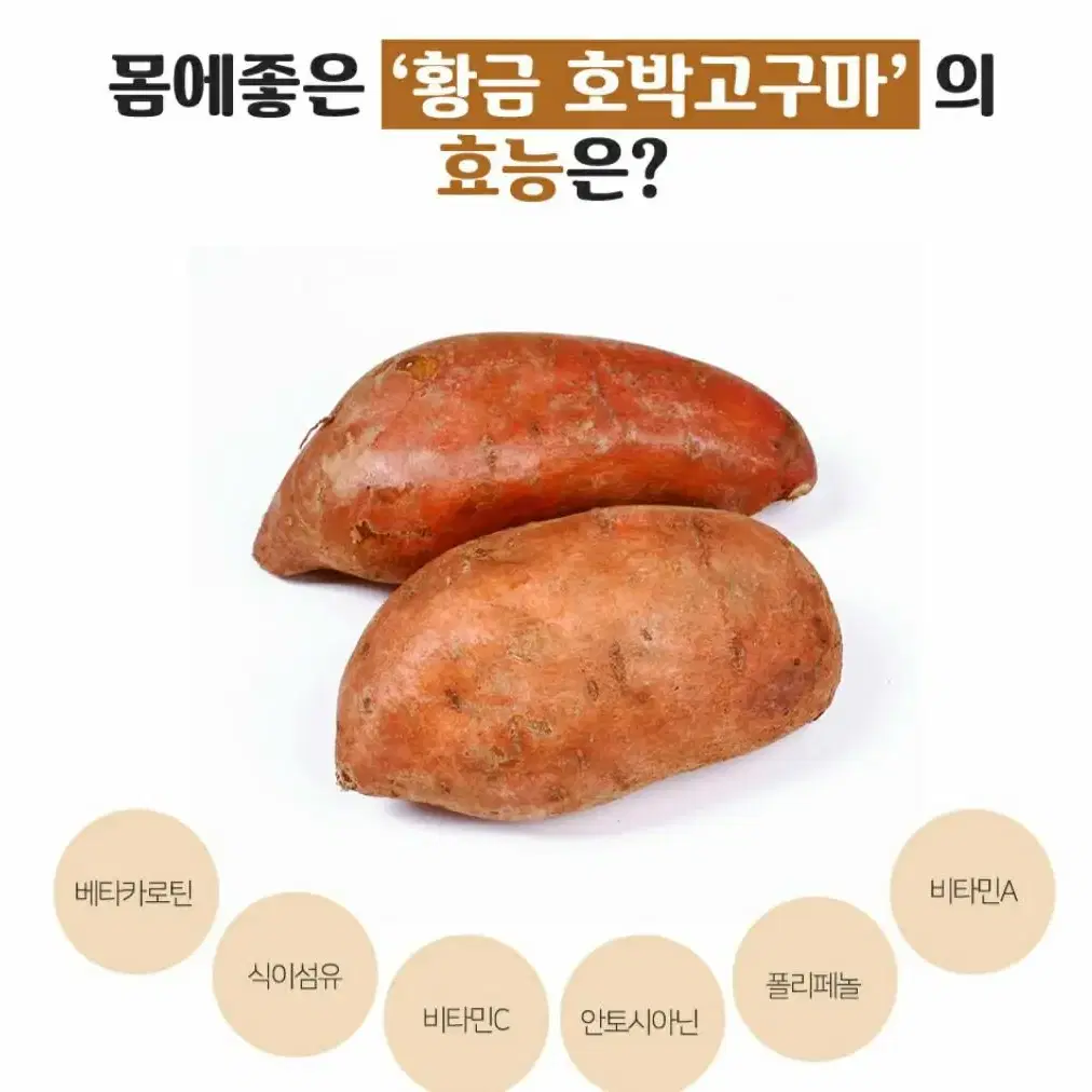 햇고구마  꿀밤고구마 황금호박고구마