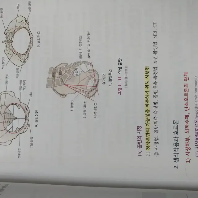 여성건강간호학필통요약집