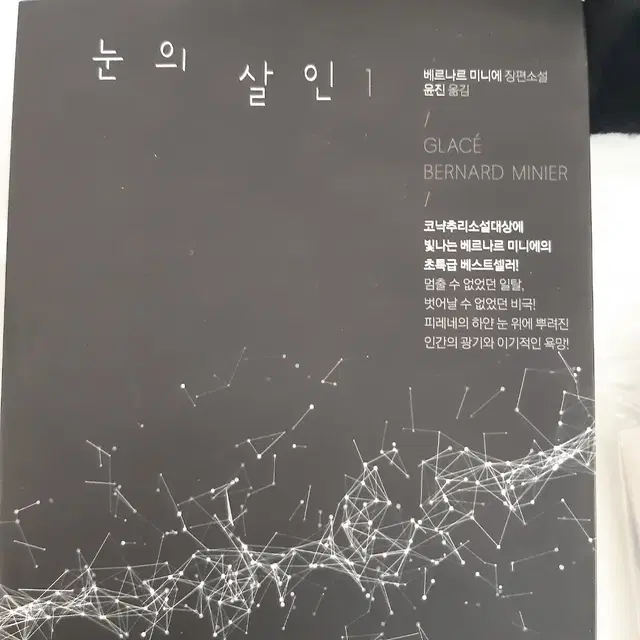 추리소설 눈의 살인1