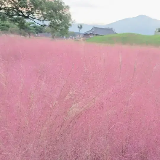 인스 교환방