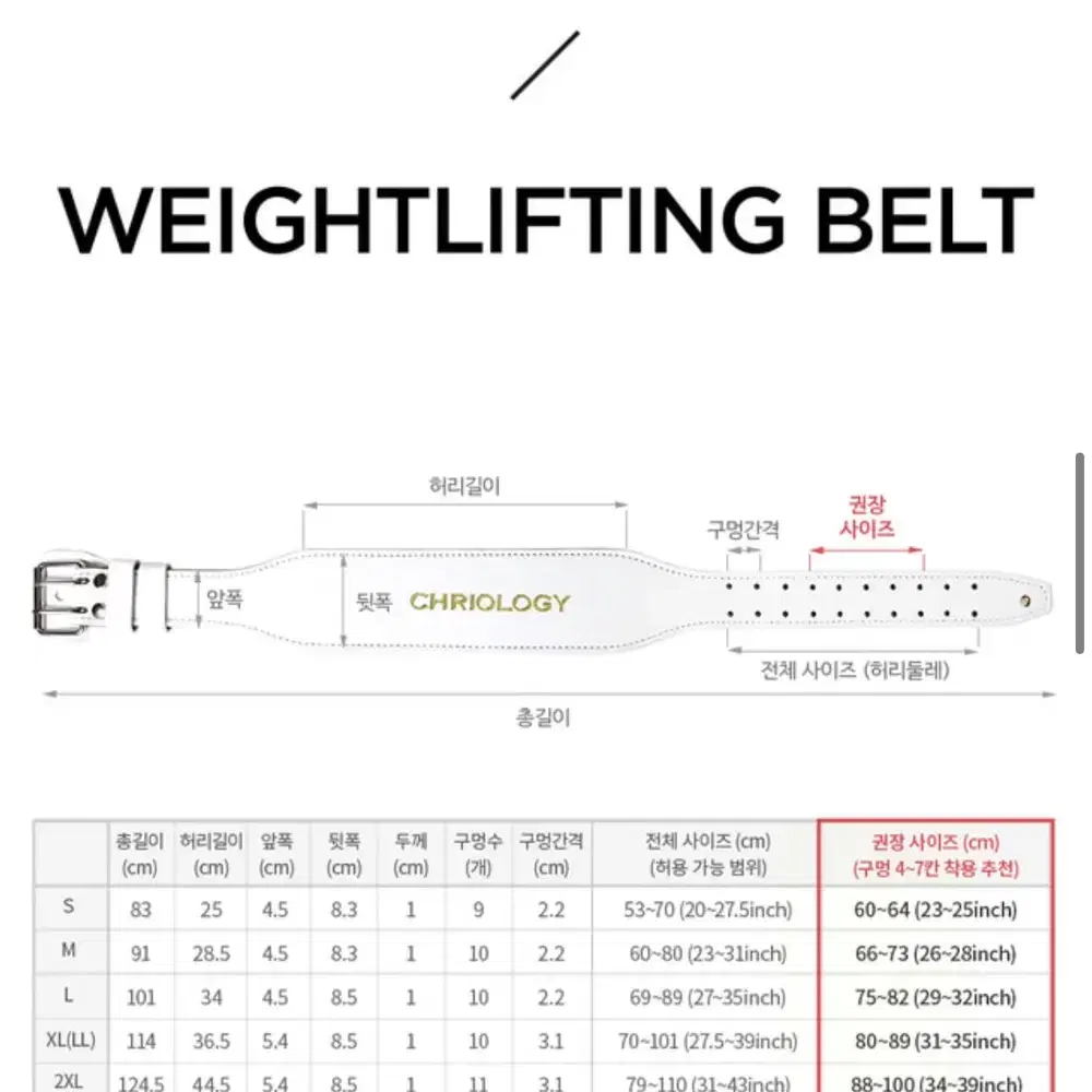 크리오로지벨트 s