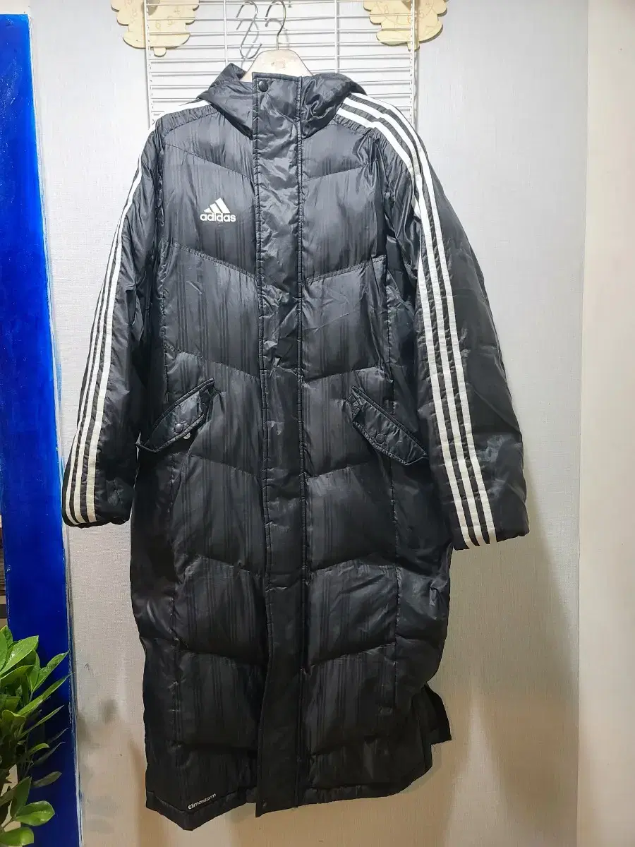 (Japan Standard M) adidas adidas long padded !!!