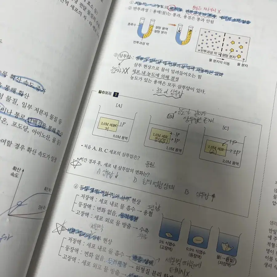 백호 2022 생2 섬세한 개념완성