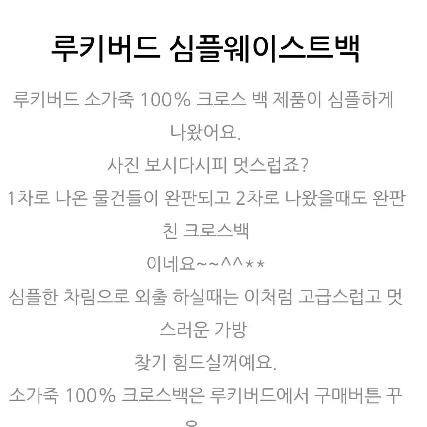 루키버드웨이스트백