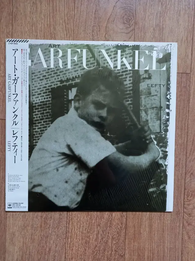 art Garfunkel lp 아트 가펑클