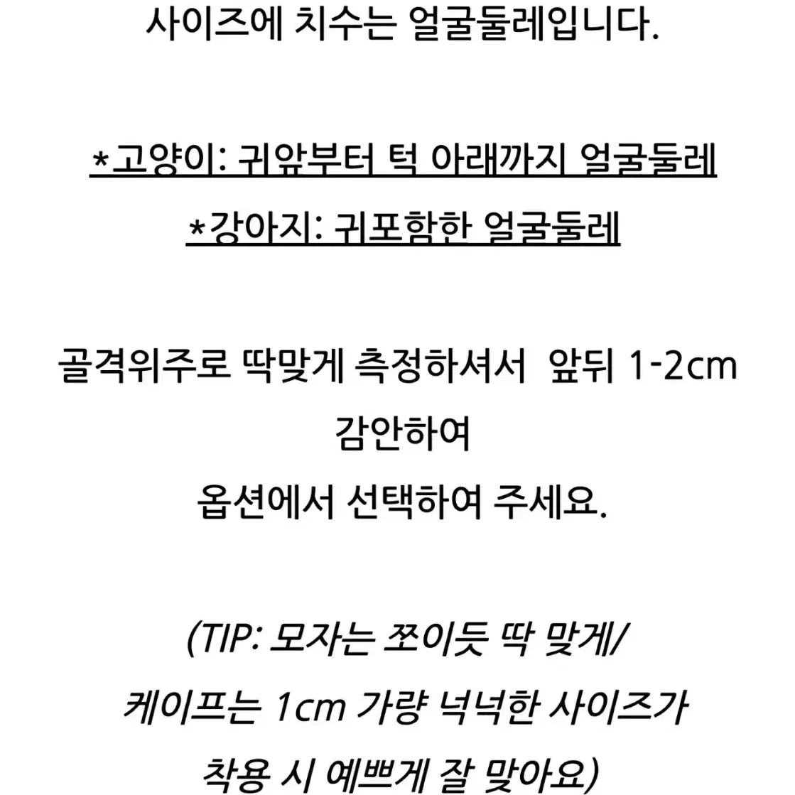 강아지모자 고양이모자 토끼모자