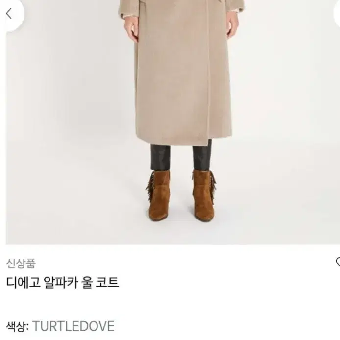 막스마라 디에고