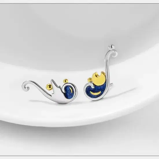 s925 silver earrings van gogh's 이어링 귀걸이