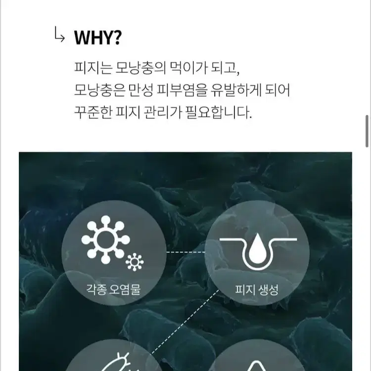 새상품) NEW버전 페이스팩토리 피지흡입기