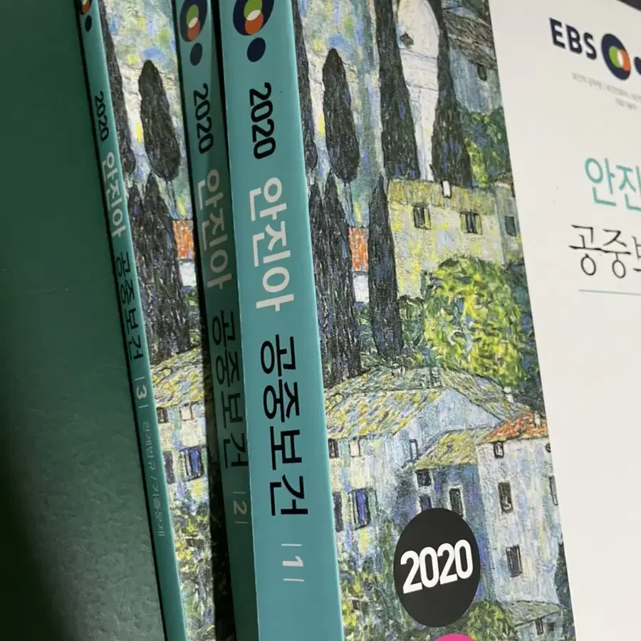 2020안진아 공중보건